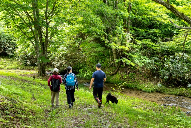 ペットと一緒に旅行しよう！飛騨・高山のおすすめスポット